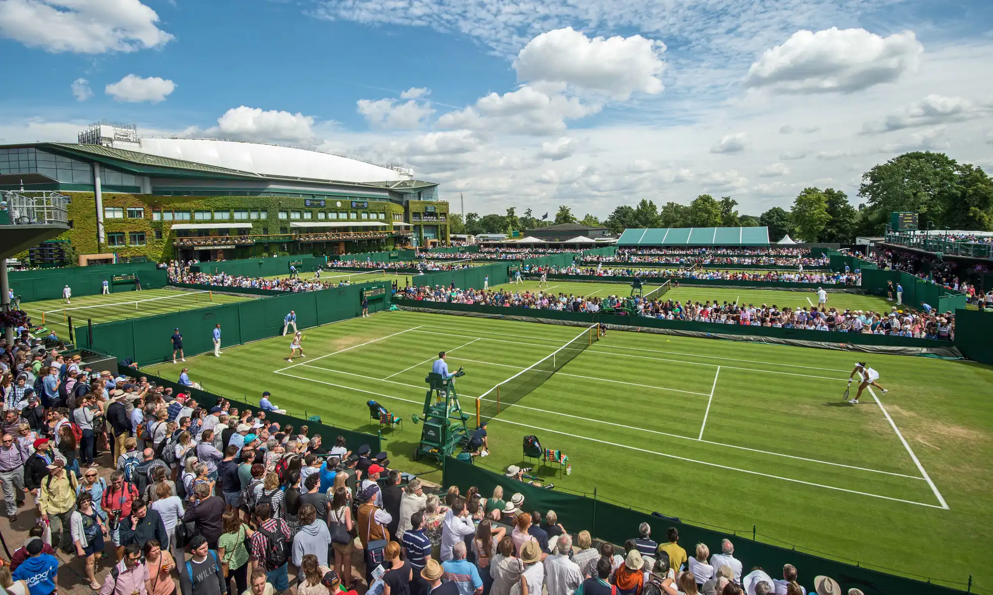 Wimbledon 2025 – turnamen tenis. Di situs kami, Anda dapat mengetahui berita terbaru, hasil pertandingan, prediksi, dan membuat ramalan.